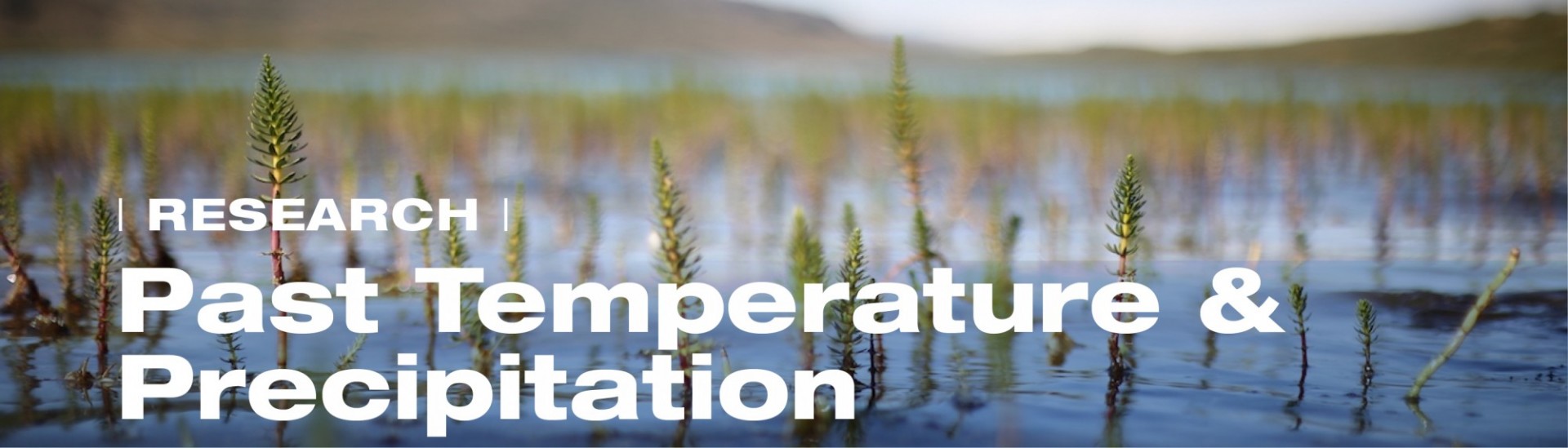 Lake edge plants - Research: Past Temperature & Precipitation