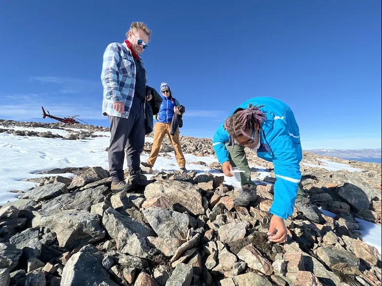 Liza Wilson sampling moss