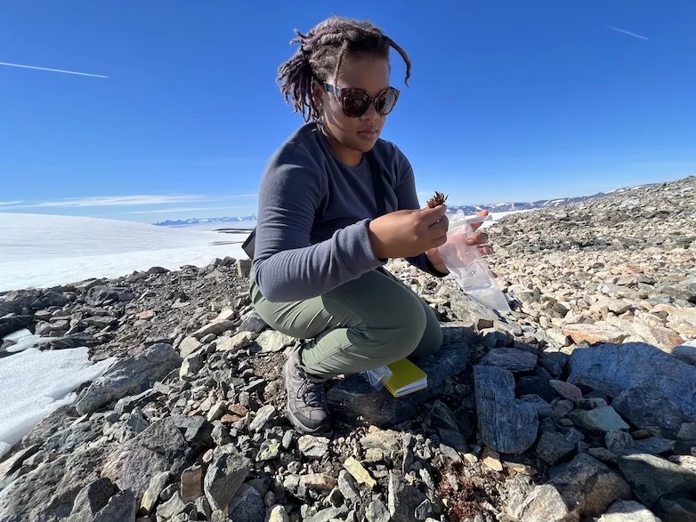 Liza Wilson collects a moss sample